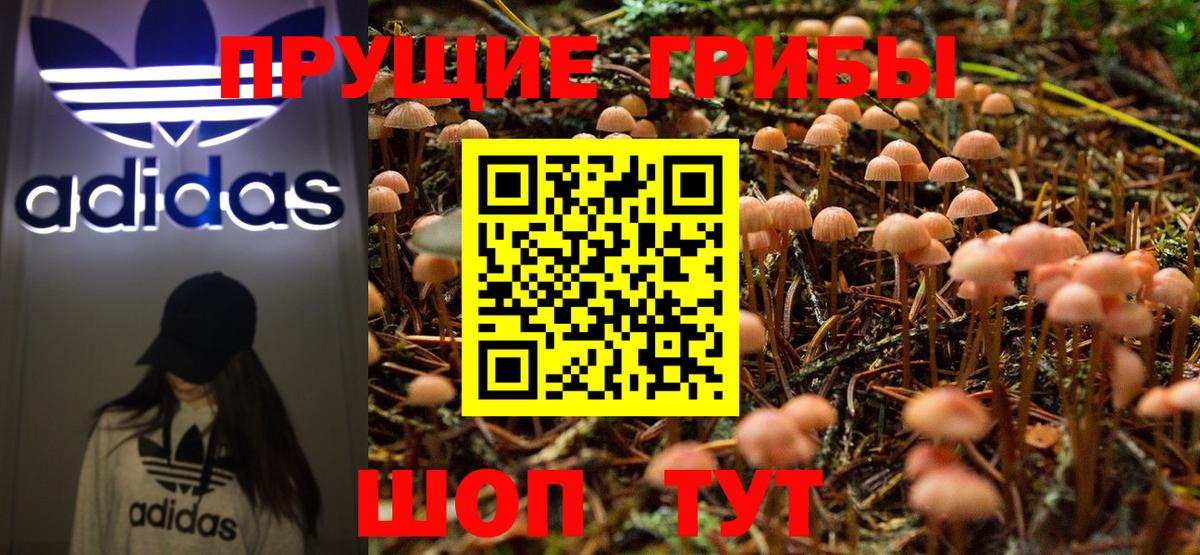 Галлюциногенные грибы GOLDEN TEACHER Нижнекамск